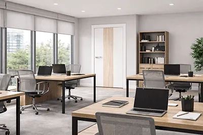 Какие выбрать двери для офиса?